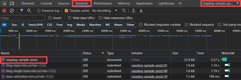 Prerendered page in network tab after changing renderer DevTools