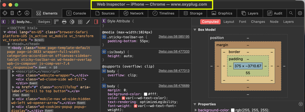 Safari Web Inspector window showing page opened in iOS device