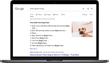 How-to rich snippet example in Google Search result page showing how to groom a dog result on desktop