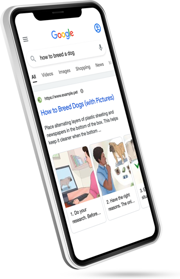How-to rich snippet example in Google Search result page on mobile showing how to breed a dog